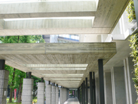 福岡大学商学部